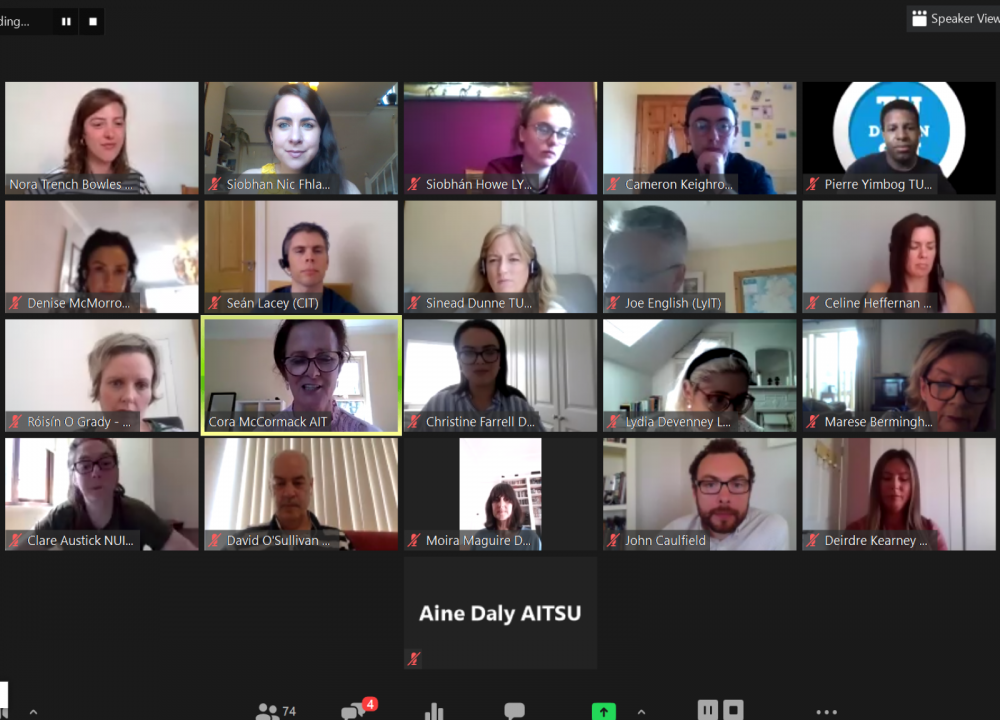 Screenshot of all Practitioners Forum 2020 Webinar 1 panelists